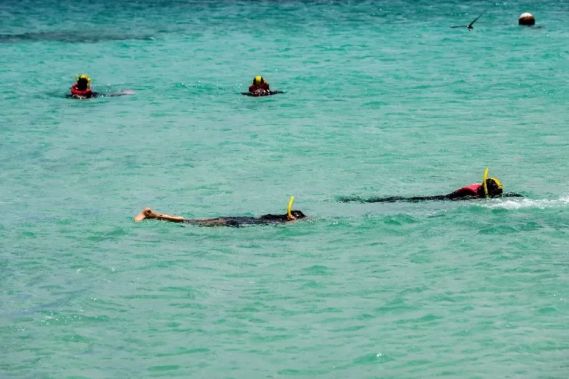 Menschen beim Schnorcheln in türkisfarbenem Wasser vor einem tropischen Strand mit ruhigem Meer und sonnigem Wetter.