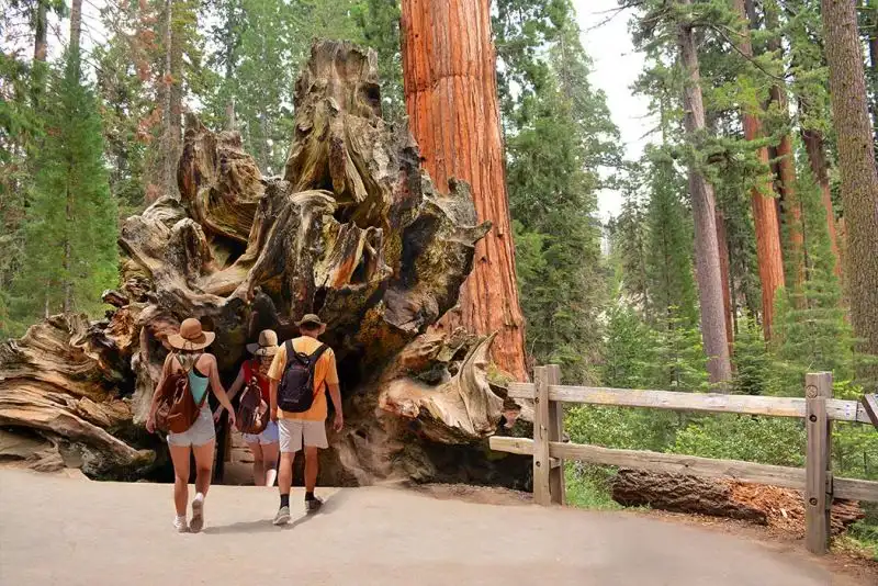 cose da vedere in california