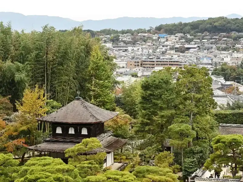 Templo Kinkakuji: El Pabellón Dorado de Kioto 2026