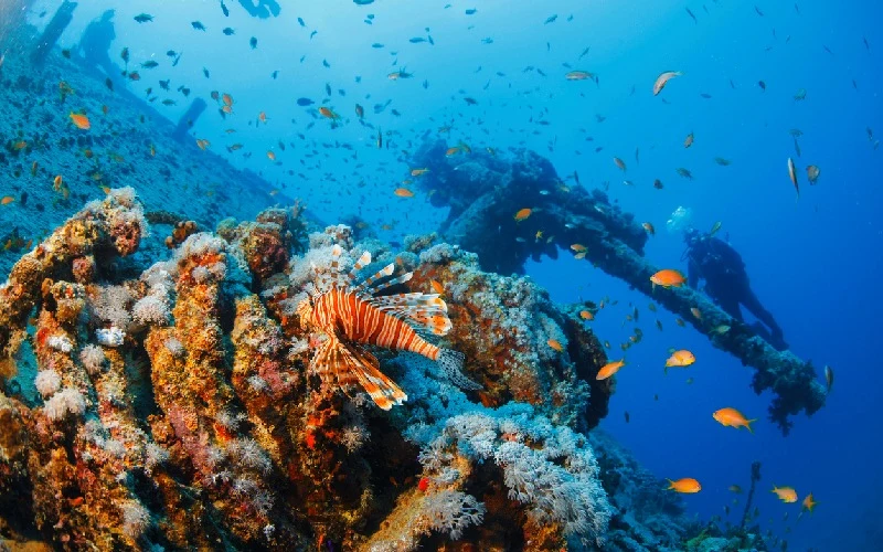 Ras Mohammed National Park, Egypt