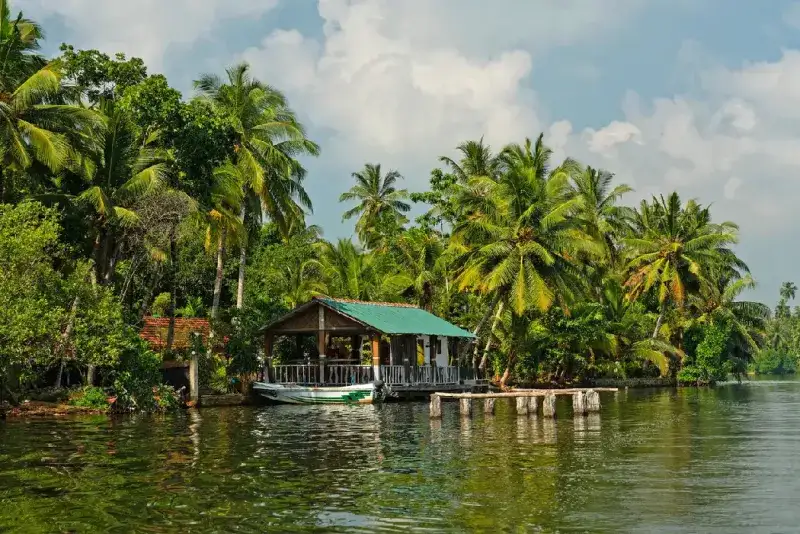 palmeras-verdes-en-el-lago-koggala-sri-lanka-paisaje-tropical