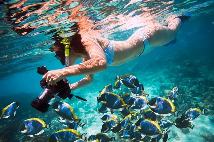 Snorkeling Trip to Mahmya Island - Hurghada Snorkeling Trip to Mahmya Island - Hurghada