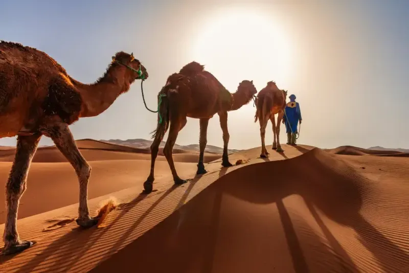 merzouga-o-zagora