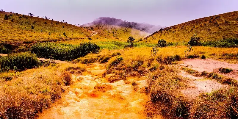 Senderismo por el Parque Nacional Horton Plains en una mañana lluviosa.