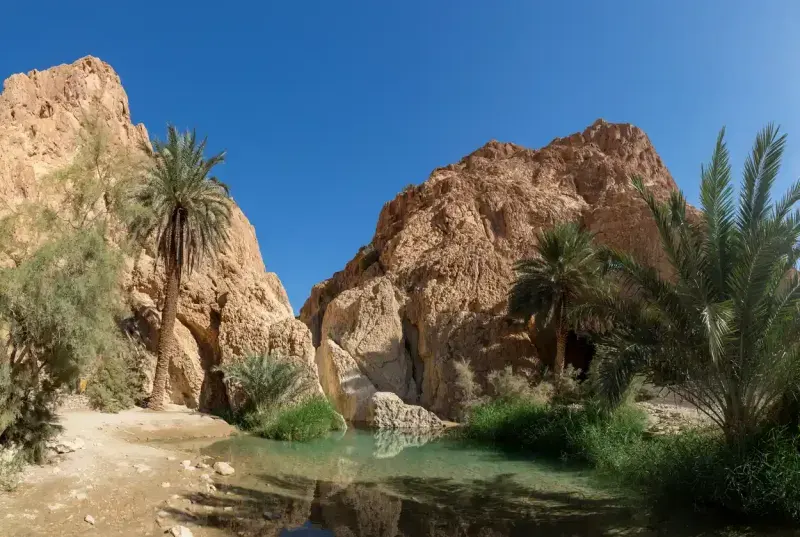 Tozeur: Your Essential Guide to Tunisia's Desert Oasis