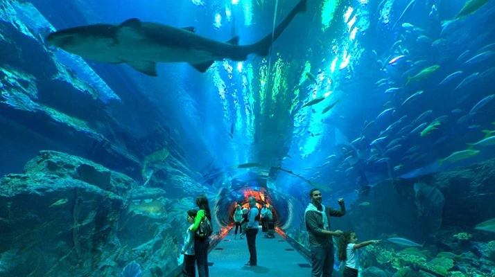 The Dubai Aquarium