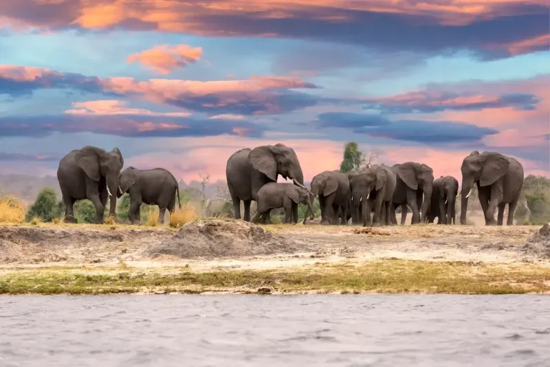 Luxury Guided Tour of Victoria Falls & Chobe