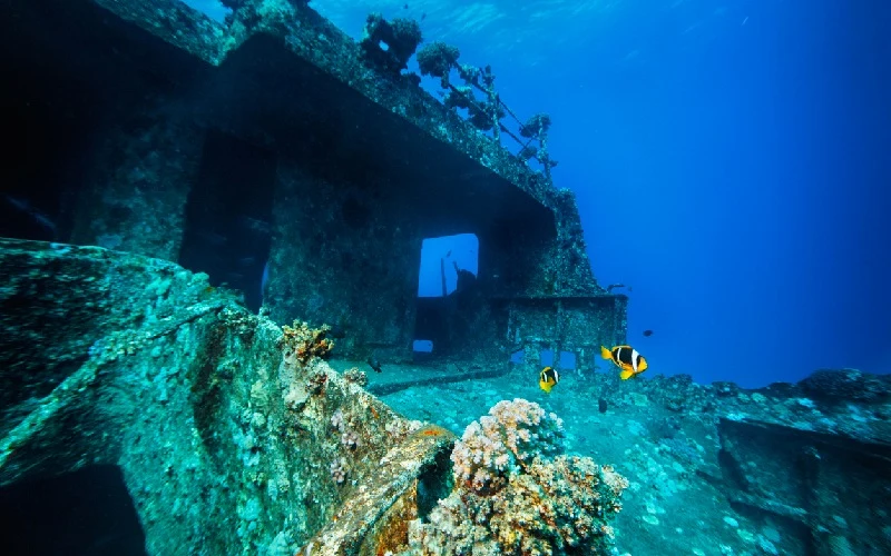 Ras Mohammed National Park, Egypt