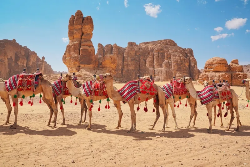 Trip Saudi Arabia | Saudi Arabia Travels | Saudi Attractions