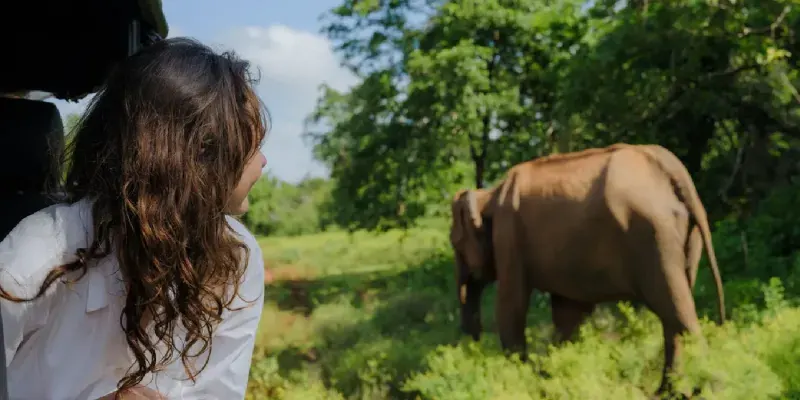 Woman spotting an Indian elephant in Yala National Park