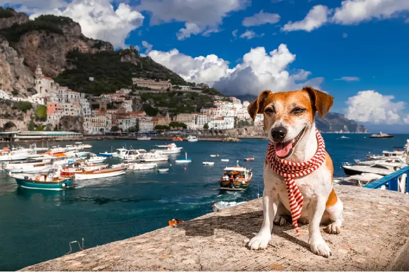 Blick auf Positano an der Amalfiküste in Italien mit bunten Häusern am Hügel