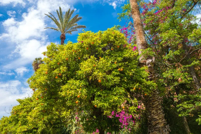 clima-en-marrakech-en-octubre