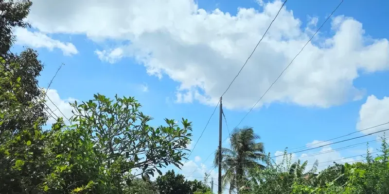 Una aldea rodeada de exuberante vegetación tropical en la zona rural del Delta del Mekong, Vietnam.