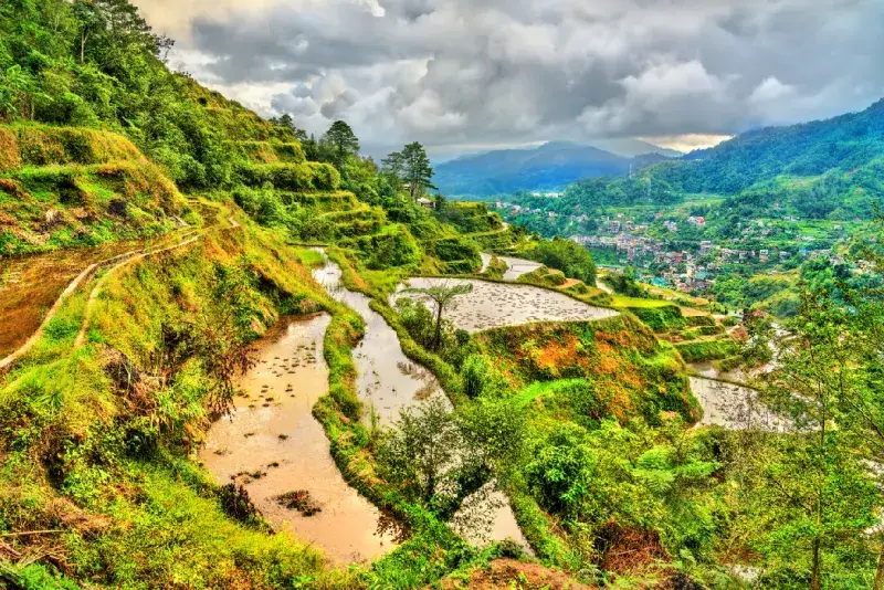 Green rice terraces and mountains in the Philippines under cloudy skies