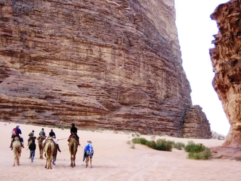 Wadi Rum Camel Ride Wadi Rum Camel Ride