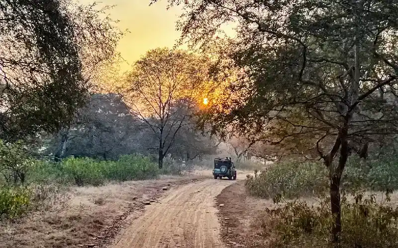 parco nazionale di ranthambore