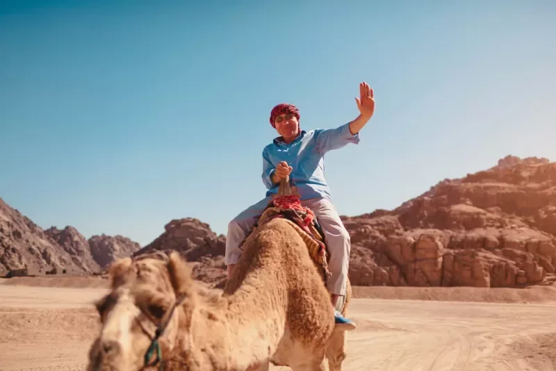 Excursión Safari en el Sinaí desde Sharm o Dahab