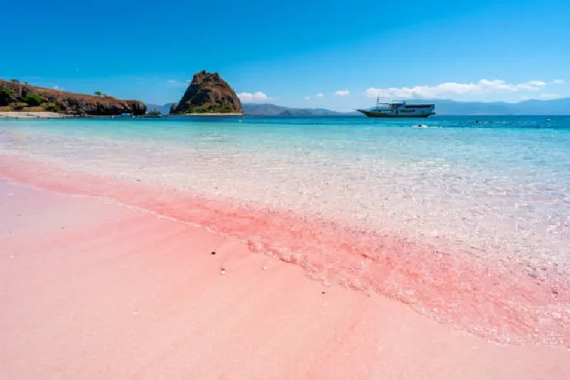 Rosa Sandstrand mit klarem türkisfarbenem Wasser auf den Komodo-Inseln in Indonesien