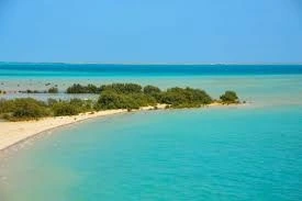 ISole di Farasan a jizan , isole farasan
