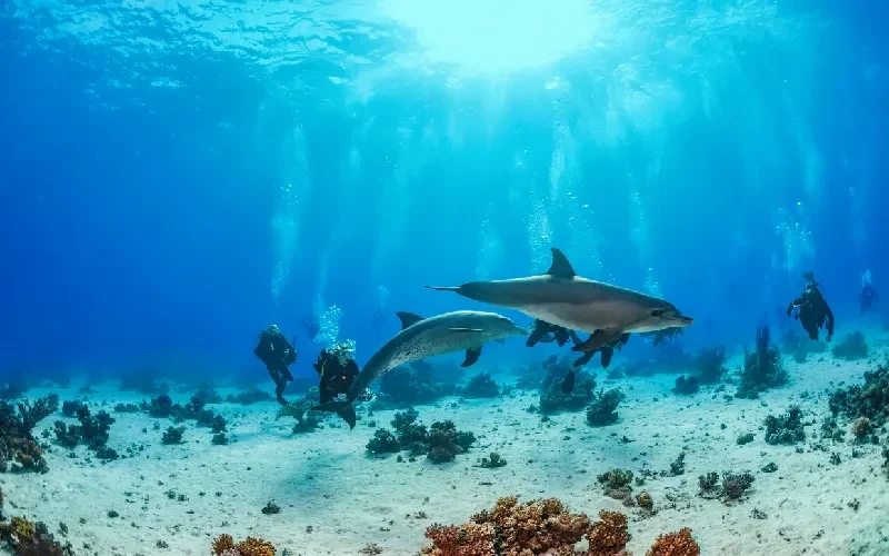  Hurghada, la star incontournable de la mer Rouge, vaut-elle vraiment le détour