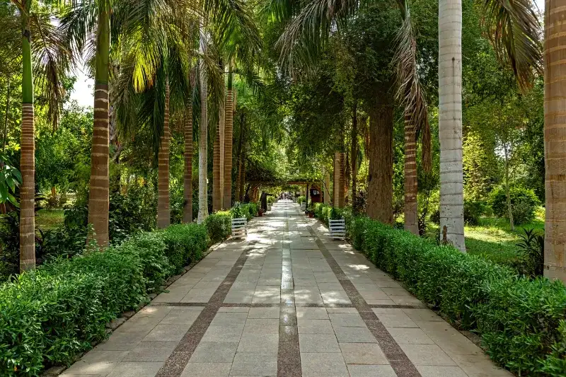 Botanischer Garten von Assuan, Oberägypten.