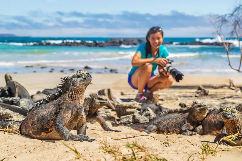 viaggiare con animali