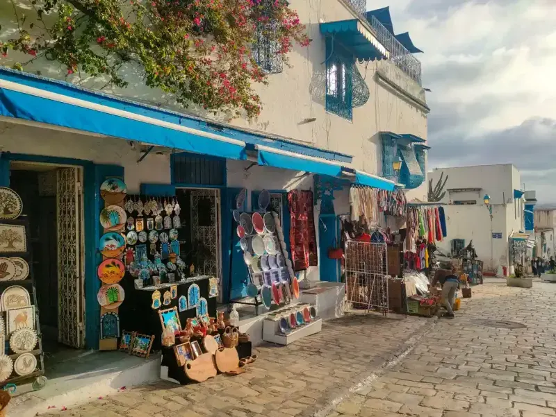 The village of Sidi Bou Said, Carthage, Tunisia 