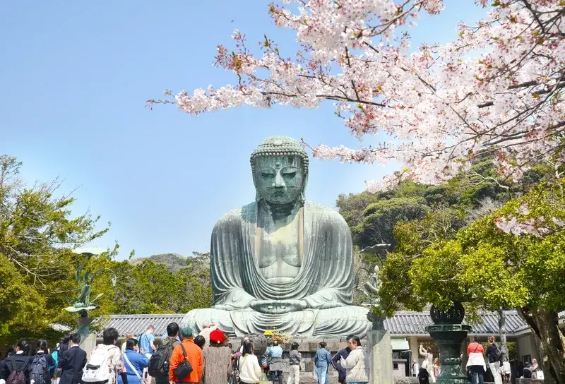 estatua-do-grande-buda-de-kamakura-sob-flores-de-cerejeira