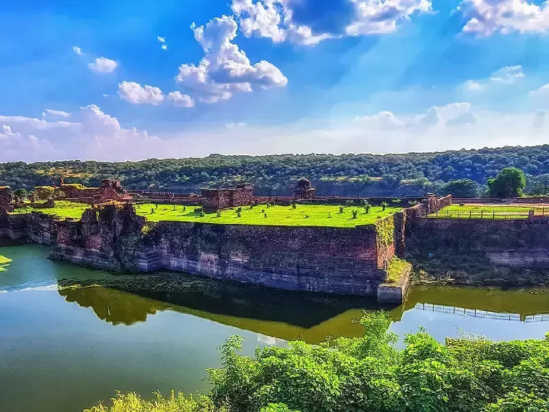 ranthambore parco nazionale , ranthambore india
