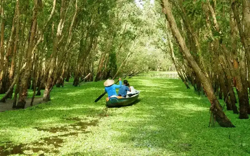 Tra Su, delta del mekong