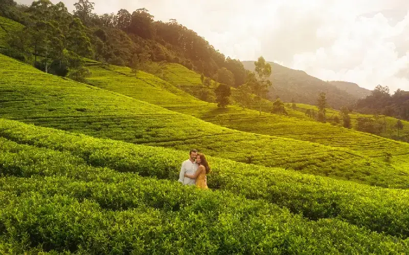 Nuwara Eliya