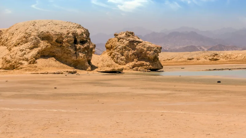 Wadi El Gemal National Park