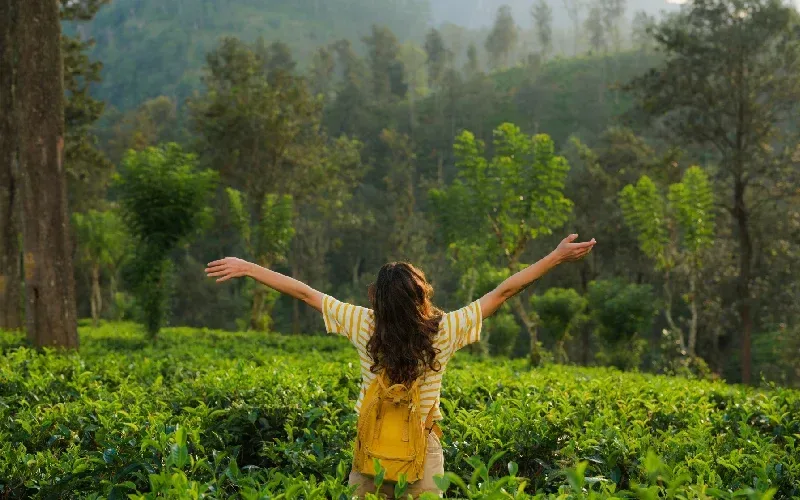 Nuwara Eliya