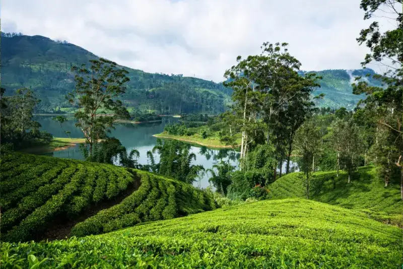 Landscape of Horton Plains in Sri Lanka