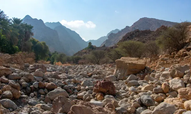 fiume in secca pieno di ciottoli in un Wadi Al Arbaeen, circondato da palme da dattero e montagne rocciose.