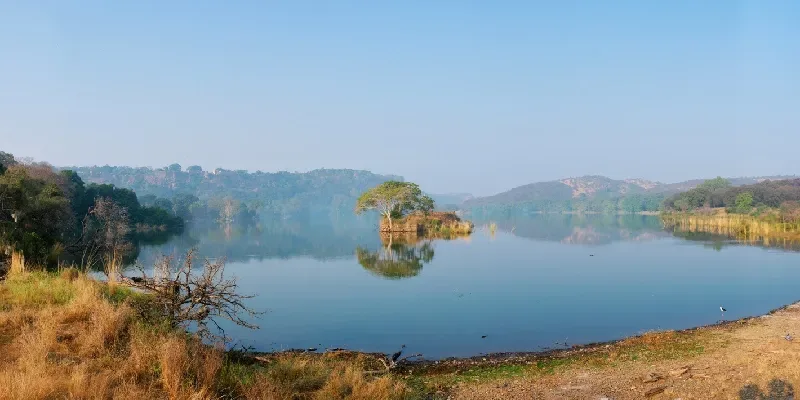Vista interior del Parque Nacional de Ranthambore, India. 