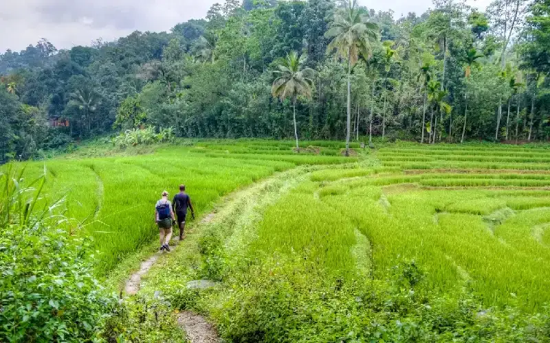 Kandy