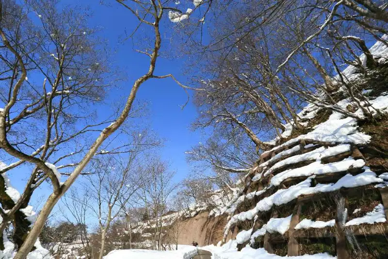Shirakawago
