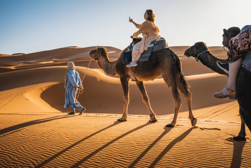 Tourist Camel caravan going through the Sahara desert in Morocco at sunset.