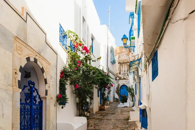Famous Blue and White buildings in the town of Sidi Bou Said, Tunis