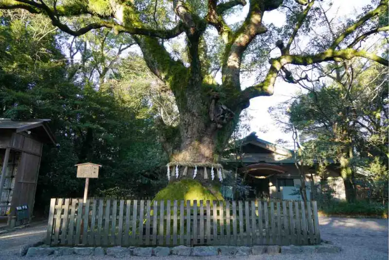 atsuta-jingu-guida-al-santuario-shintoista