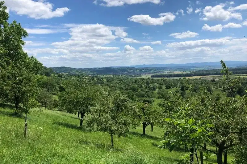 Naturpark Schönbuch, Baden-Württemberg, Deutschland – grüne Idylle vor den Toren Stuttgarts