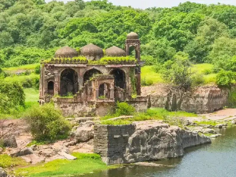 Ranthambore , Ranthambore india