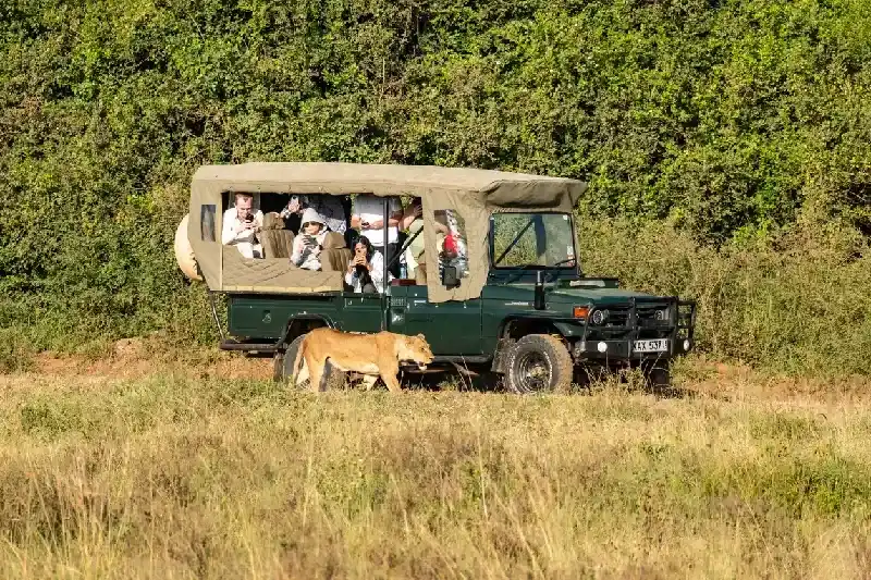 Safari Trip in Nairobi National Park