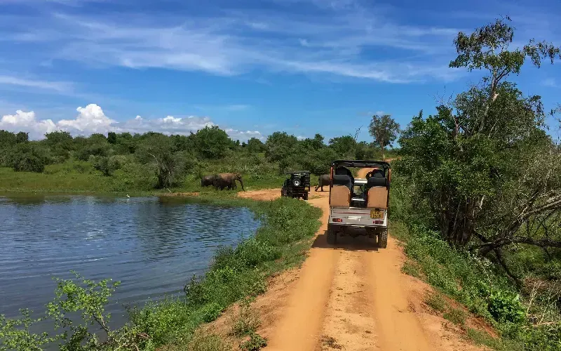 Parco Nazionale di Udawalawe