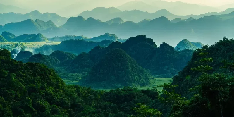 Parque Nacional de Cat Ba en la Isla de Cat Ba, Vietnam