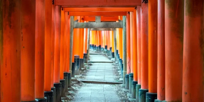 portais-torii-santuario-fushimi-inari-quioto
