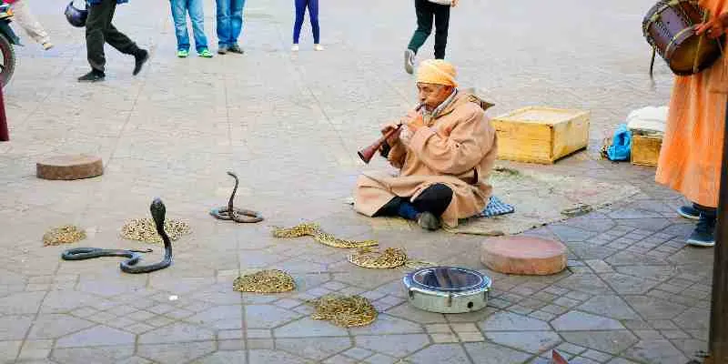 Jamaa el Fna 