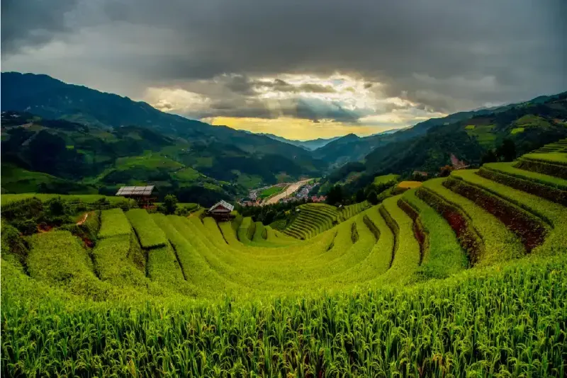 Campos de arroz en terrazas, agricultura verde durante la temporada de lluvias con nubes oscuras.