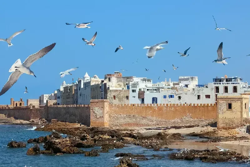 Città di Essaouira, Cosa vede ad ESsaouira 